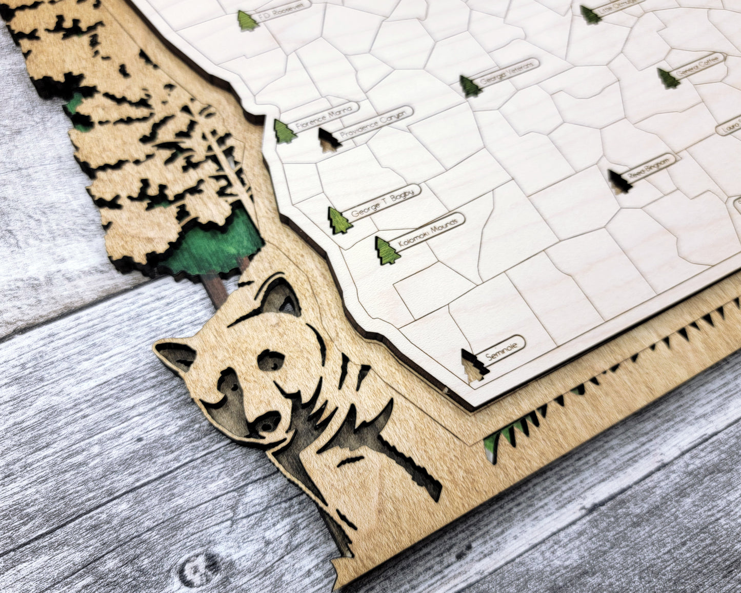 Georgia State Parks Travel Map
